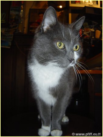 PFIFF Pics Bar und Mautzy_18.JPG