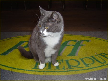 PFIFF Pics Bar und Mautzy_20.JPG