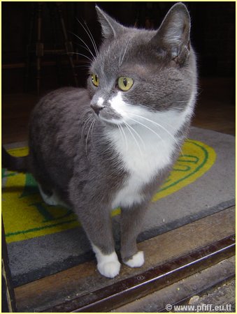 PFIFF Pics Bar und Mautzy_21.JPG