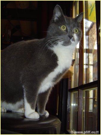 PFIFF Pics Bar und Mautzy_22.JPG