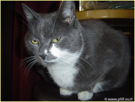 PFIFF Pics Bar und Mautzy_25.JPG