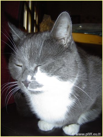 PFIFF Pics Bar und Mautzy_27.JPG