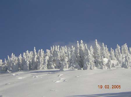 PfiffSkiausflug02_2005_pic25